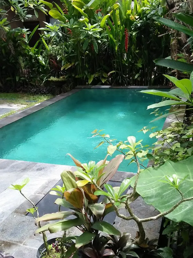Rumah Rose Ubud  Inn